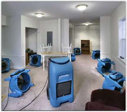 Water Mitigation Services in Rushville, IN