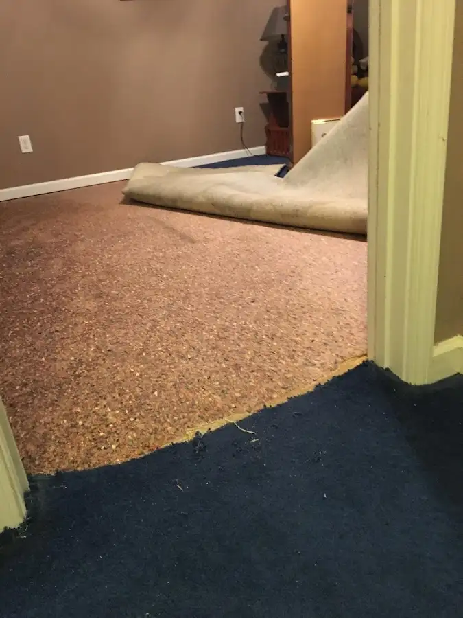 Carpet pad removal revealing water damage during Water Mitigation Services in Rushville